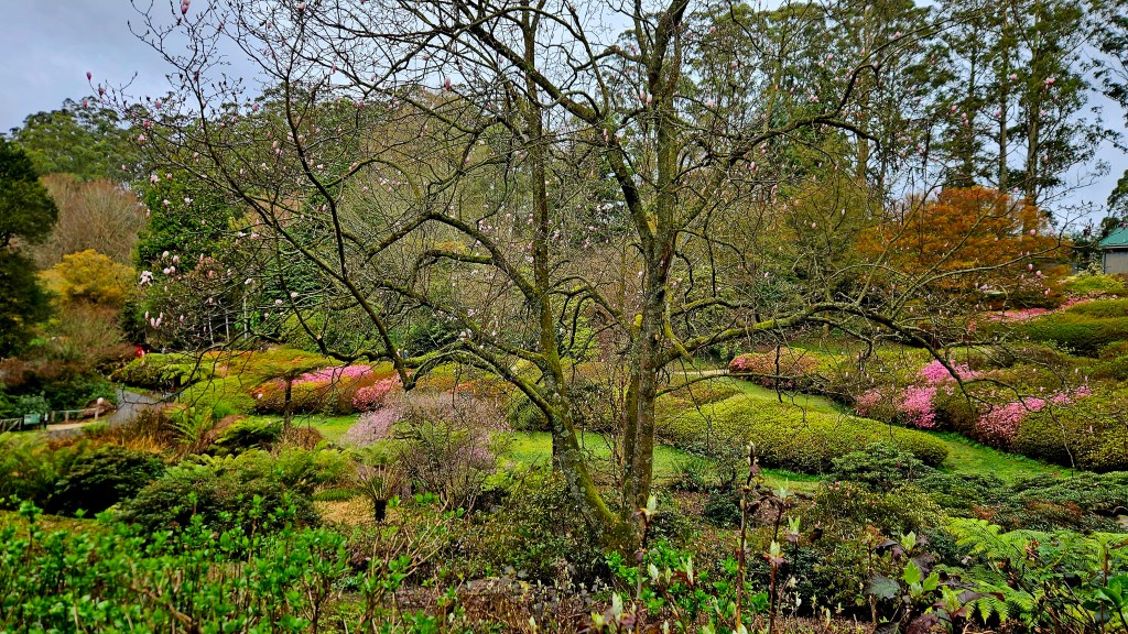 My Top 5 Favourite&nbsp;Hymns